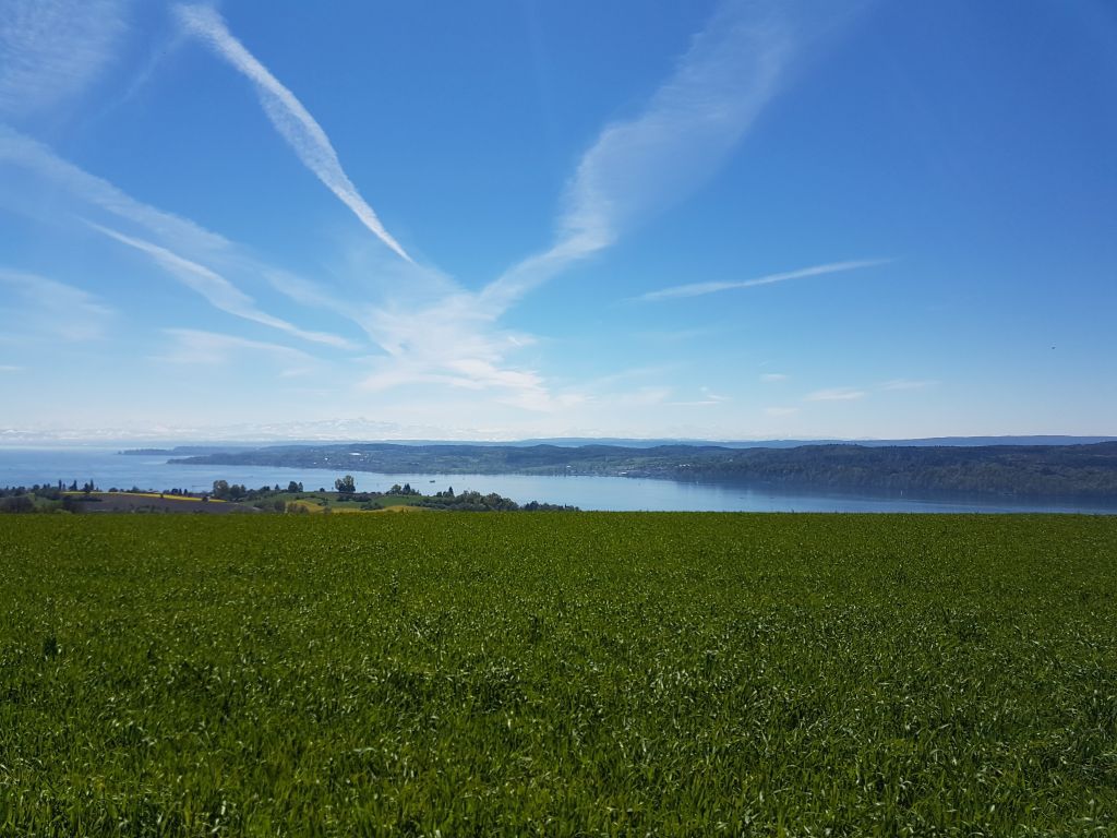 Bild 2 von 68  -  144 kB